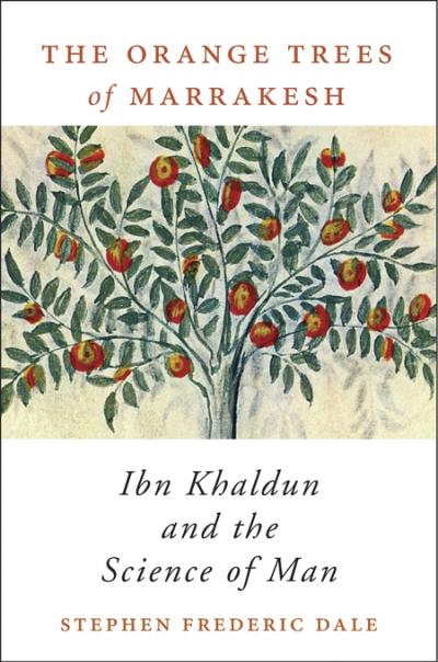The Orange Tree of Marrakesh Book Cover of The Orange Tree of Marrakesh